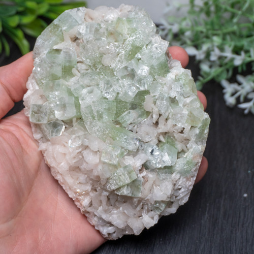 XL Green Apophyllite #2