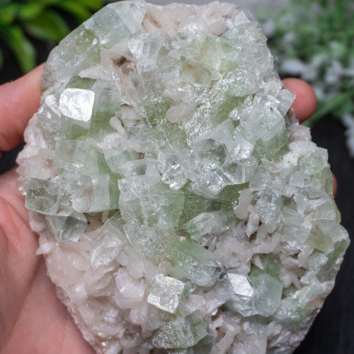 XL Green Apophyllite #2
