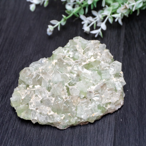 XL Green Apophyllite #1