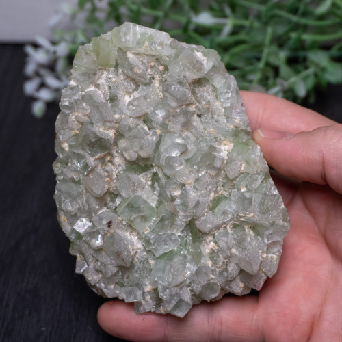 XL Green Apophyllite #1