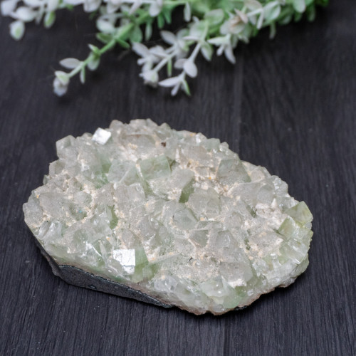 XL Green Apophyllite #1