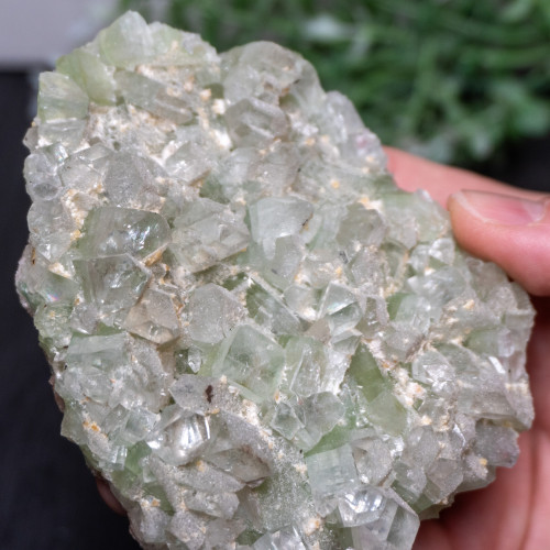 XL Green Apophyllite #1