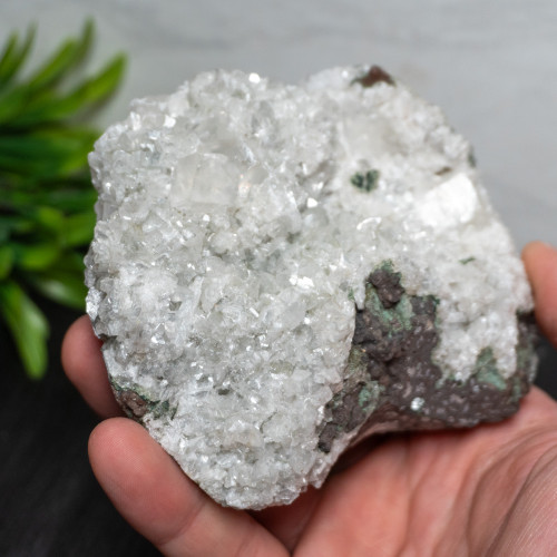 XL Apophyllite #1