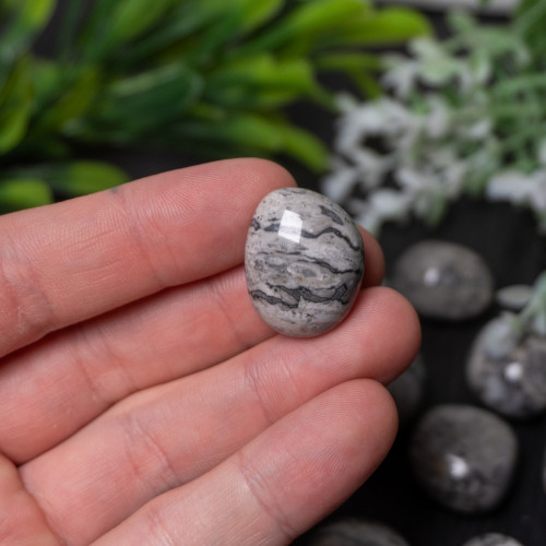 Silver Lace Agate Tumbled