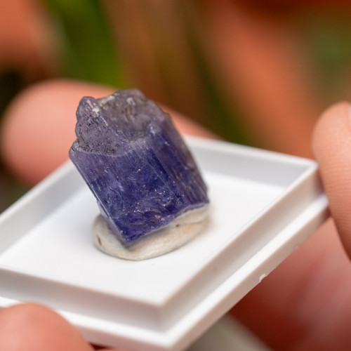 Tanzanite Gem #2