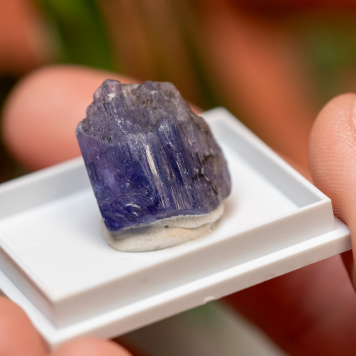 Tanzanite Gem #2