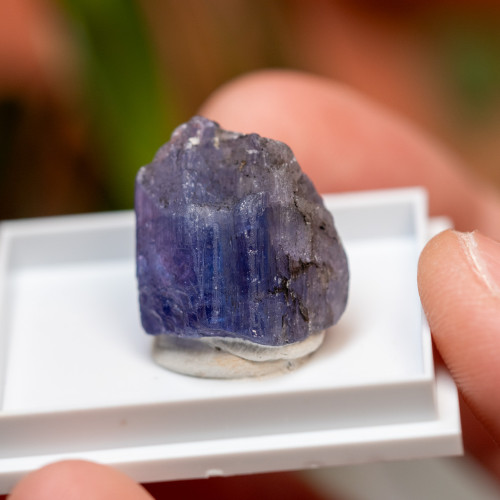 Tanzanite Gem #2