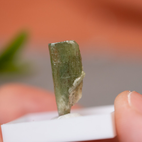 Green Kyanite Gem #4