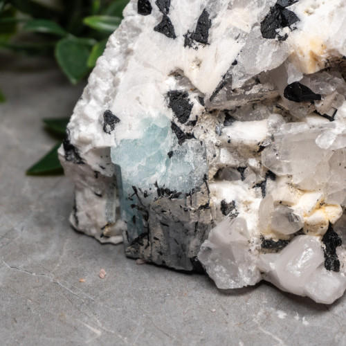 Black Tourmaline in Quartz with Clevelandite and Aquamarine #3