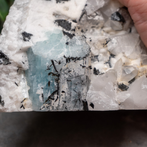 Black Tourmaline in Quartz with Clevelandite and Aquamarine #3