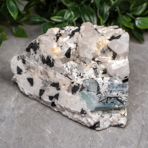 Black Tourmaline in Quartz with Clevelandite and Aquamarine #3