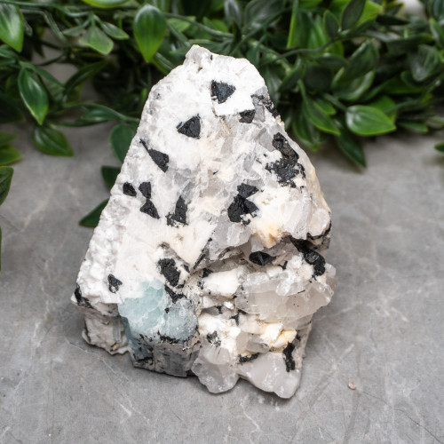 Black Tourmaline in Quartz with Clevelandite and Aquamarine #3