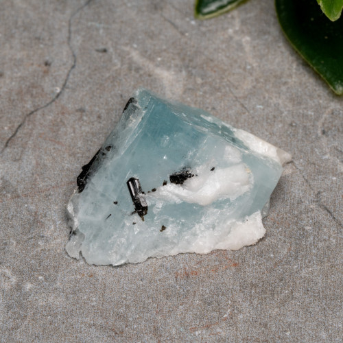 Black Tourmaline in Quartz with Clevelandite and Aquamarine #1