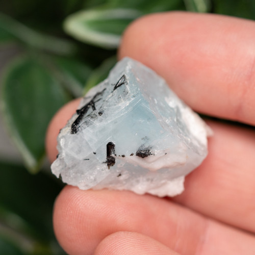 Black Tourmaline in Quartz with Clevelandite and Aquamarine #1