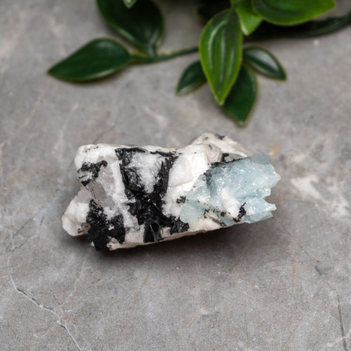 Black Tourmaline in Quartz with Clevelandite and Aquamarine #2