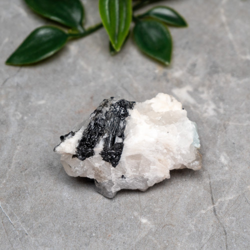 Black Tourmaline in Quartz with Clevelandite #8