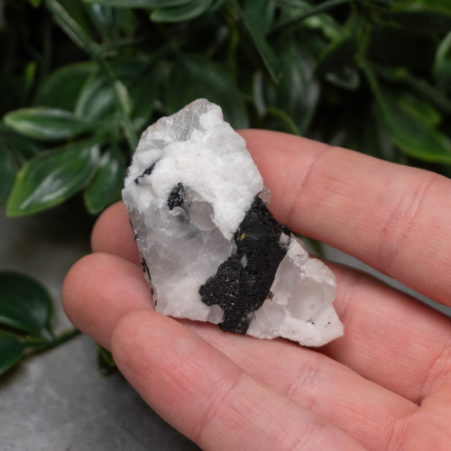 Black Tourmaline in Quartz with Clevelandite #9