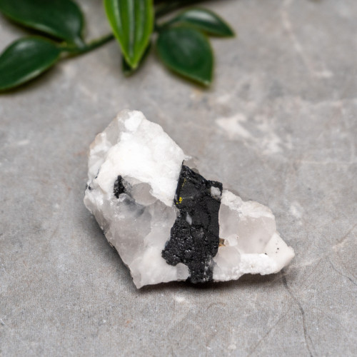 Black Tourmaline in Quartz with Clevelandite #9