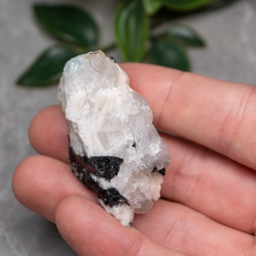 Black Tourmaline in Quartz with Clevelandite #8