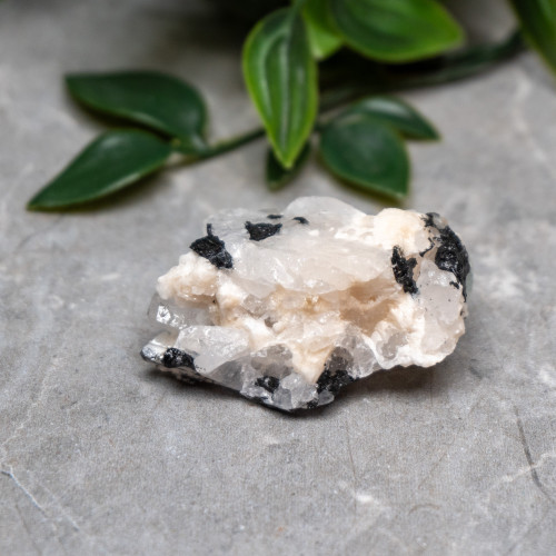 Black Tourmaline in Quartz with Clevelandite #8