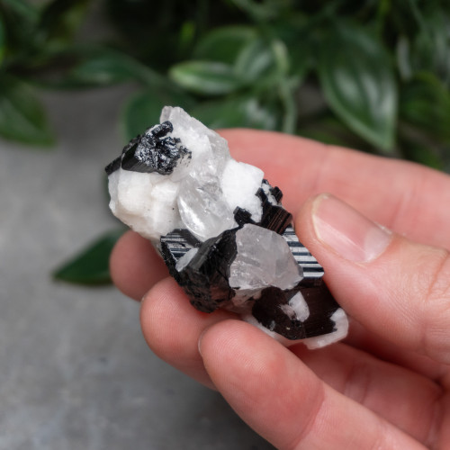 Black Tourmaline in Quartz with Clevelandite #7