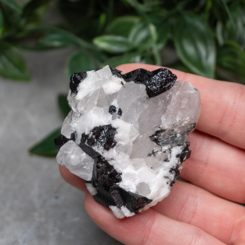 Black Tourmaline in Quartz with Clevelandite #7