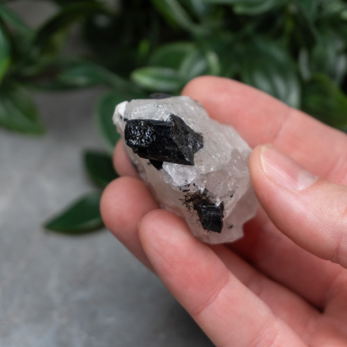 Black Tourmaline in Quartz with Clevelandite #5