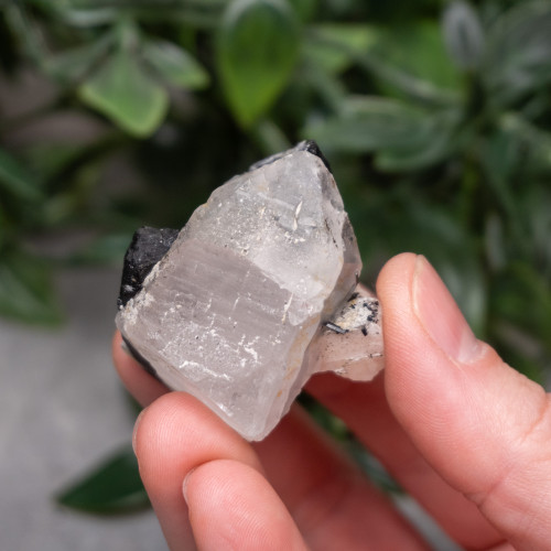 Black Tourmaline in Quartz with Clevelandite #4