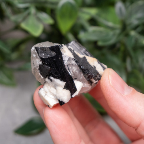 Black Tourmaline in Quartz with Clevelandite #4