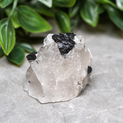 Black Tourmaline in Quartz with Clevelandite #5