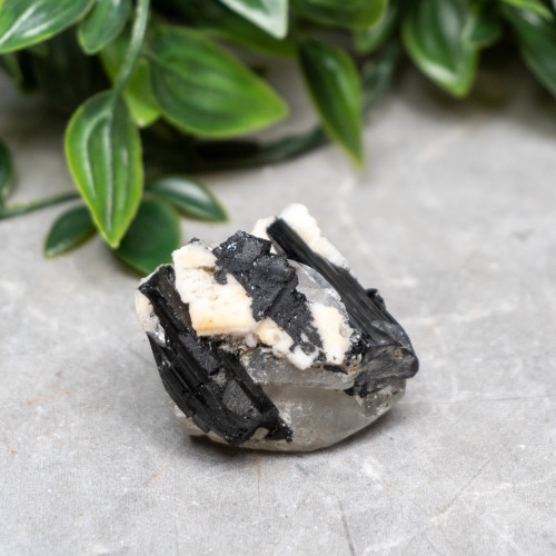 Black Tourmaline in Quartz with Clevelandite #4