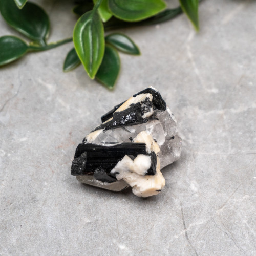 Black Tourmaline in Quartz with Clevelandite #4