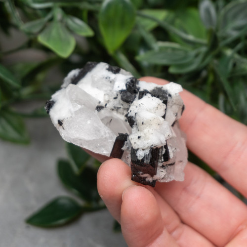 Black Tourmaline in Quartz with Clevelandite #3