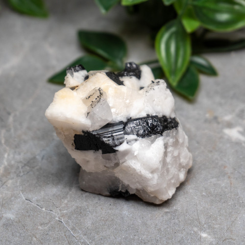 Black Tourmaline in Quartz with Clevelandite #1