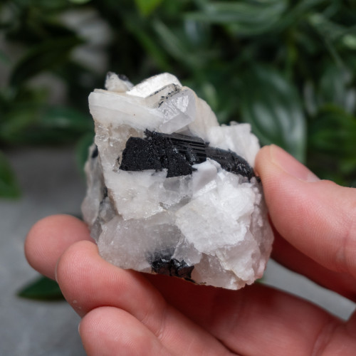 Black Tourmaline in Quartz with Clevelandite #1