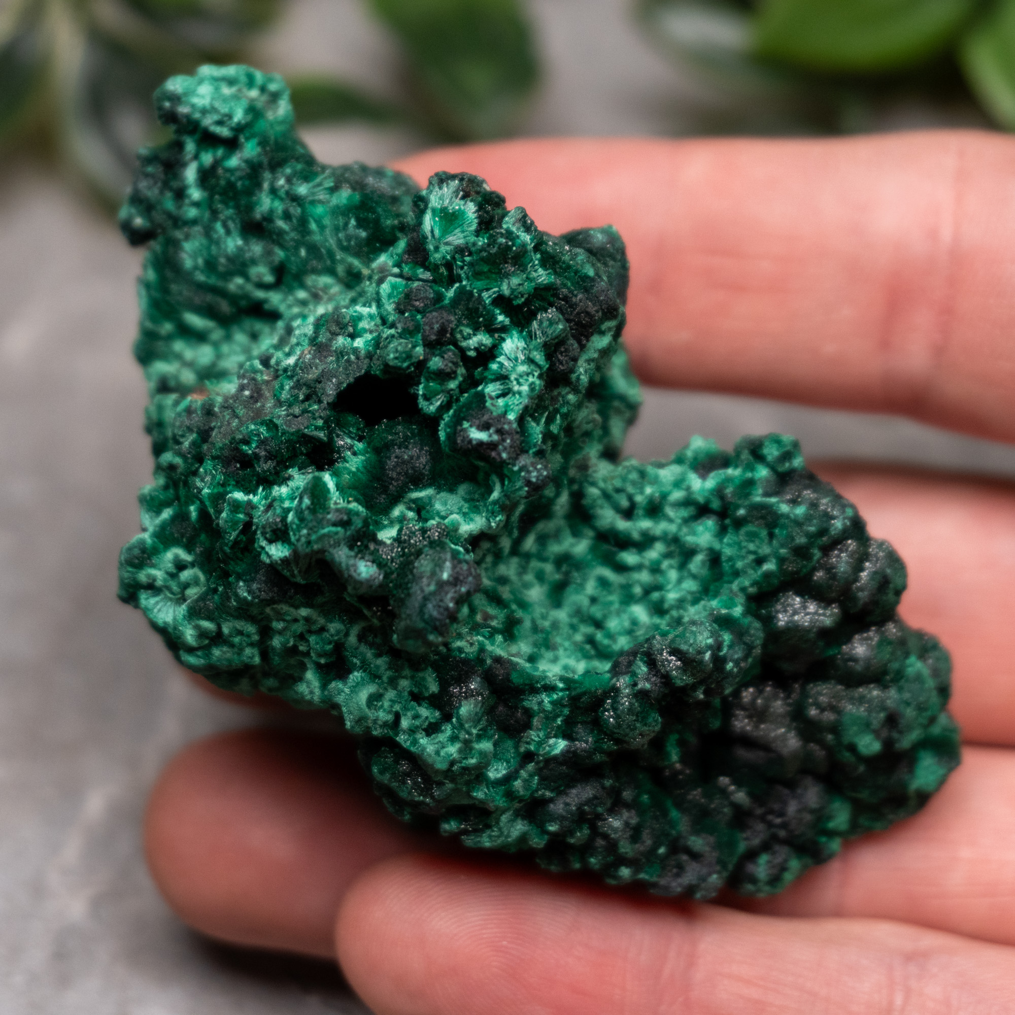 Fibrous Malachite #1 - The Crystal Council