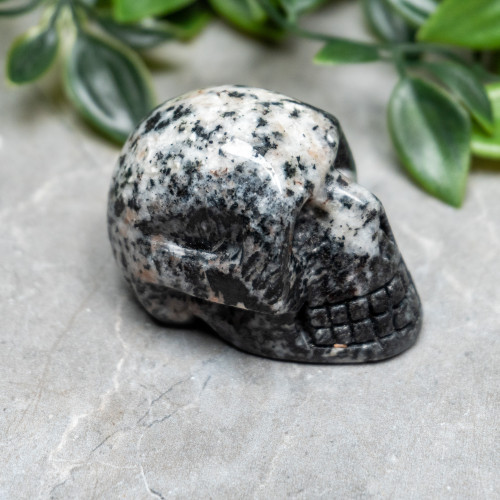 Orbicular Granite Skull