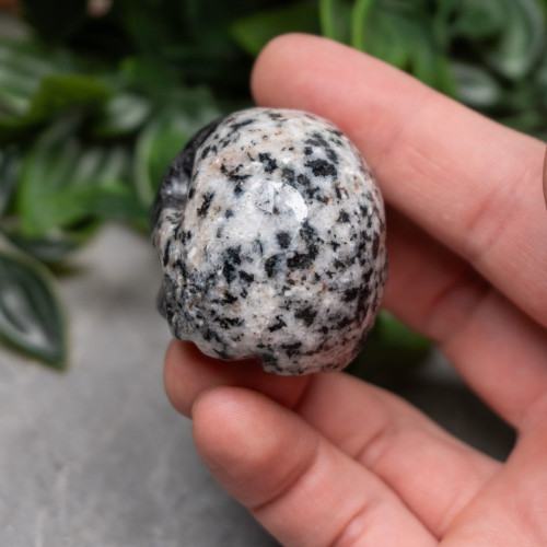 Orbicular Granite Skull