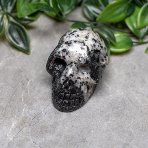 Orbicular Granite Skull