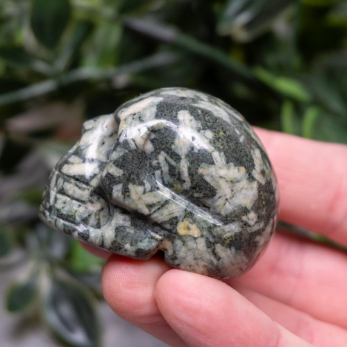 Chinese Writing Stone Skull