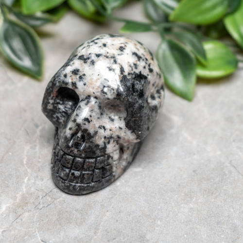 Orbicular Granite Skull