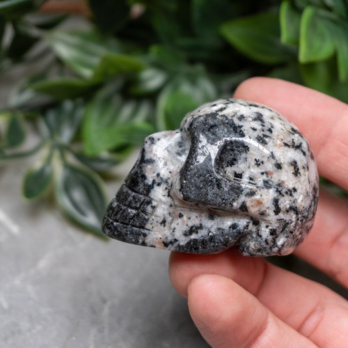 Orbicular Granite Skull