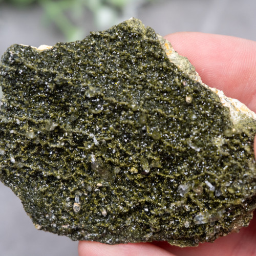 Forest Epidote #1