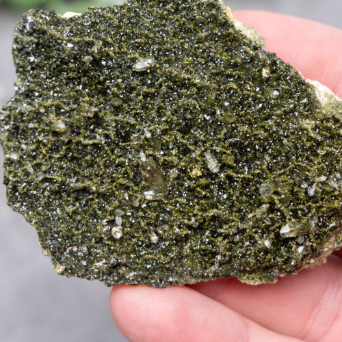 Forest Epidote #1