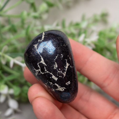 Covellite Polished #5