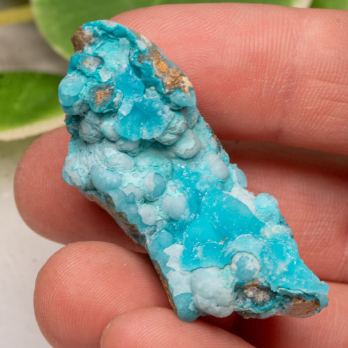 Smithsonite & Hemimorphite #1