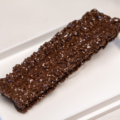 Petrified Wood with Quartz Coating #7