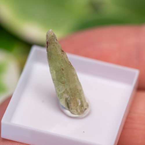 Green Kyanite Gem #5