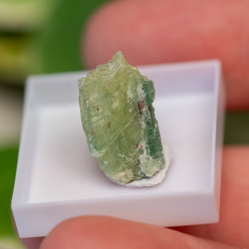 Green Kyanite Gem #4