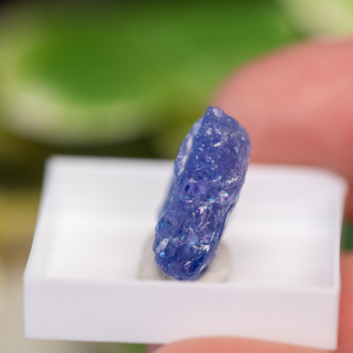 Tanzanite Raw #6